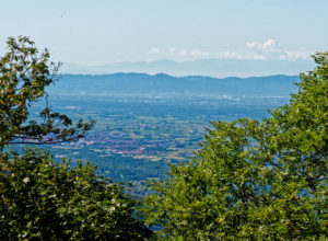 Sentiero del basilisco - Cintano - © photo: luca chiartano focusgrafica.it