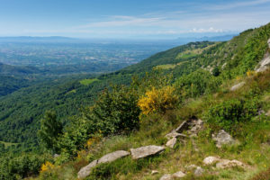 Sentiero del basilisco - Cintano - © photo: luca chiartano focusgrafica.it