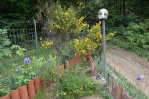 giardino