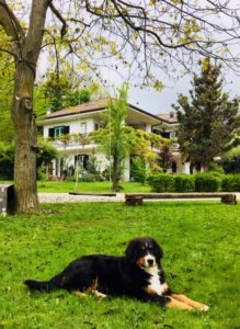 La Libellula b&b