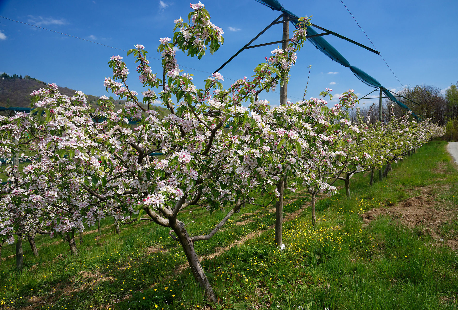 RITROVARE <br>I SAPORI <br>DELLA NATURA…